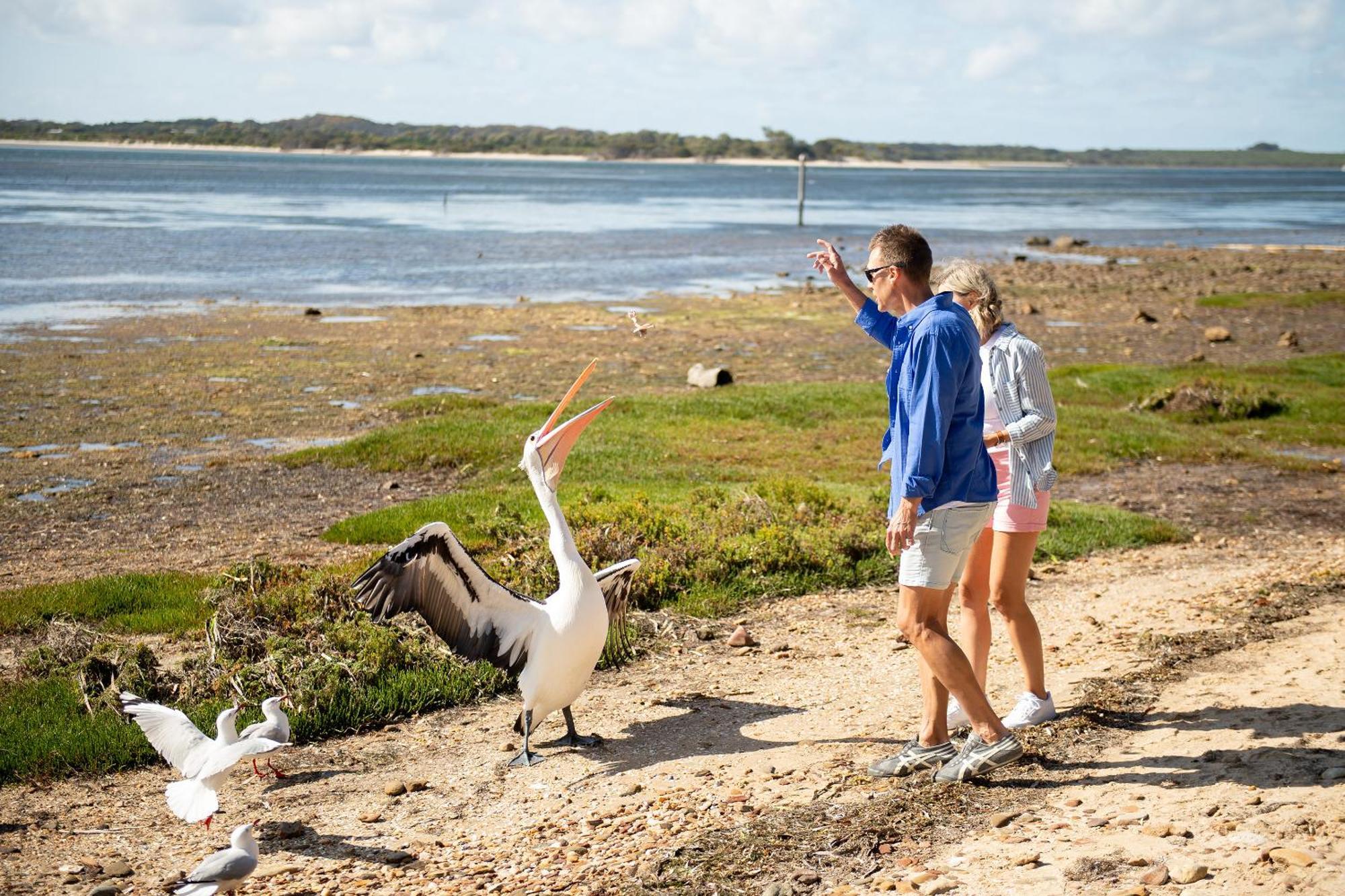 Mercure Kangaroo Island Lodge American River Екстериор снимка